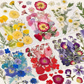 150 Pcs Dried Pressed Flowers for Resin | Real Nature Dried Flowers for Crafts by CONVELIFE