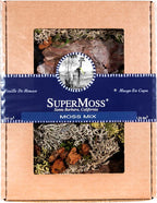 SuperMoss Moss Mix – Premium Decorative Moss by SuperMoss