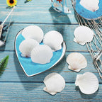 GlikCeil 50 Pcs Sea Shell for Crafting Natural Large Scallop White Oyster - Image 3