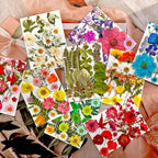 MIKIYA 182Pcs Dried Pressed Flowers - Image 3