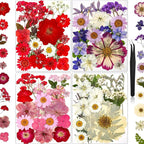85Pcs Pressed Flowers for Crafts, Real Dried Flowers for Crafts Dried Pressed by HLCYGJIN