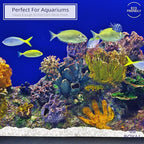 River Rocks Decorative Ornamental Vase Filler 0.25" White Aquarium Gravel - Image 2
