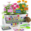 Dan&Darci Paint & Plant Flower Growing Kit by Dan%26Darci