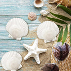 25 Pcs Large Scallop Shells for Crafts 4''-5'' White Scallop Shells Large - Image 5
