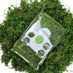 USMOLA Artificial Moss, 16OZ Fake Moss - Image 2