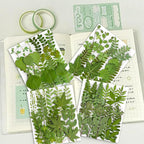 85PCS Real Green Dried Pressed Leaf Leaves, 28 Styles Greeny Mixed | 85PCS Real - Image 2