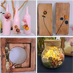 Dried Flower 2 Box DIY Natural Dried Flowers - Image 3