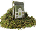 USMOLA Fake Green Moss for Potted Plants, 4OZ Artificial Moss for DIY Crafts by USMOLA