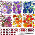 207 Pcs Dried Pressed Flowers for Crafts, Dried Pressed Flowers for Resin by VCTSELITY