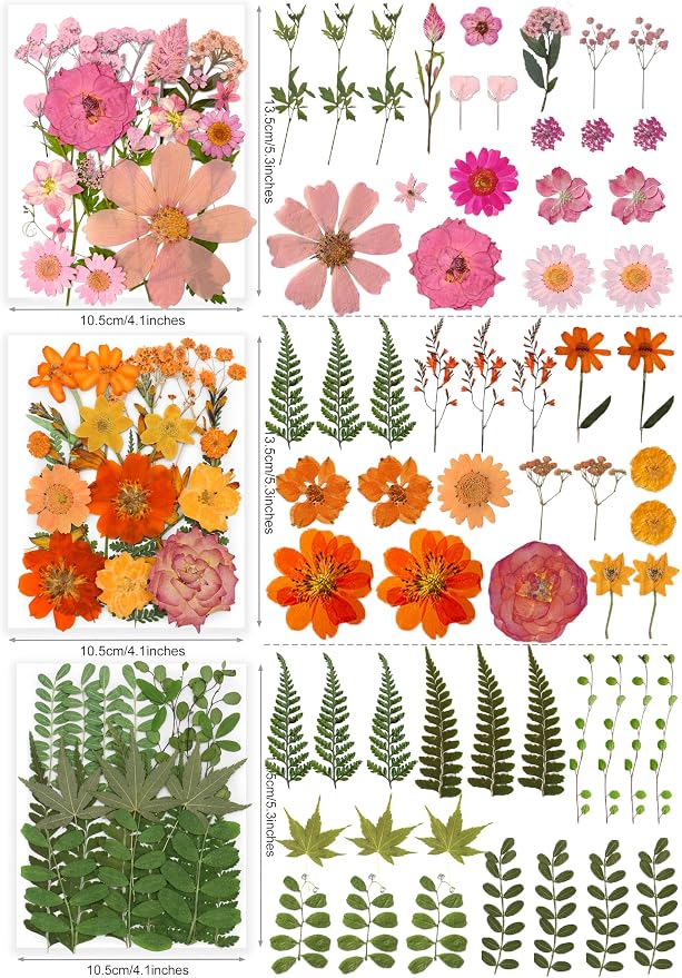 Bulk 410Pcs 11 Packs Mixed Real Natural Dried Pressed Flowers, Leaves & - Image 3