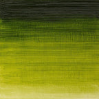 Winsor & Newton Winton Oil Color, 37ml Tube, Sap Green - Image 2