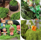 Fake Moss for Plants Indoor, 3.5OZ Dual-Color Artificial Moss for Crafts - Image 6