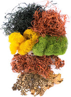 SuperMoss Moss Mix – Premium Decorative Moss - Image 2