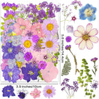 YouthBro 40pcs Purple Dried Pressed Flowers - Image 2
