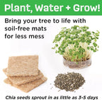 Creativity for Kids Build and Grow Tree House Craft Kit - Image 7