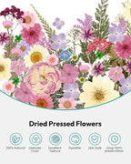 Dried Flowers, Resiners 100Pcs Pressed Flowers - Image 5