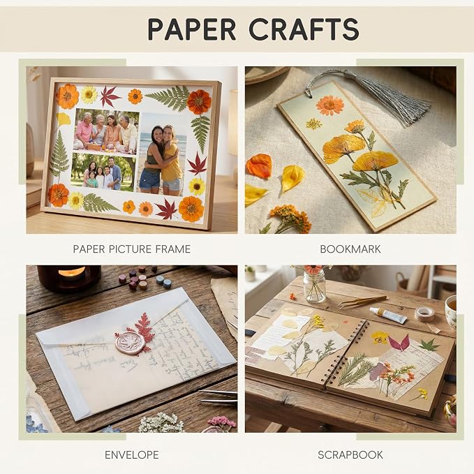 LUXEEASE 80P Autumn Tone Dried Pressed Flowers | Maple ginkgo plus blooms - Image 5