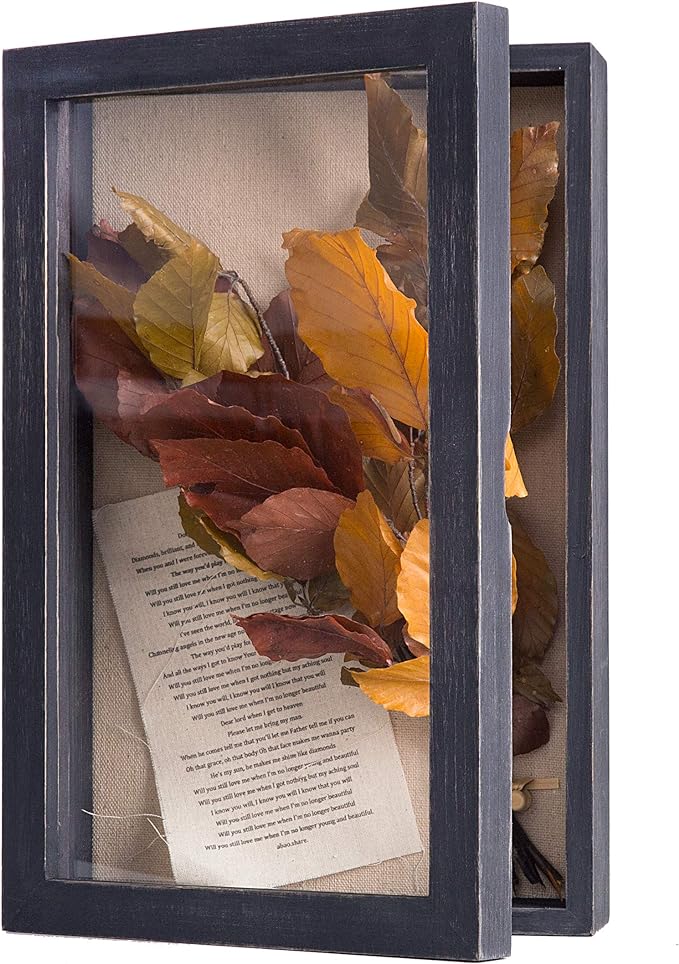 Freezing point Shadow Box Frame 8x12.5 Shadow Box Display Case Cabinet Picture by Freezingpoint
