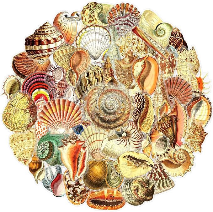 50PCS Aesthetic Sea Shell Stickers, PET Conch & Clamshell Decals, Waterproof - Image 7