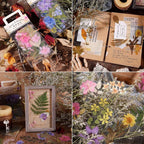 160pcs Pre-Cut Scrapbooks Natural Stickers, Floral and Plant Sticker - Image 8