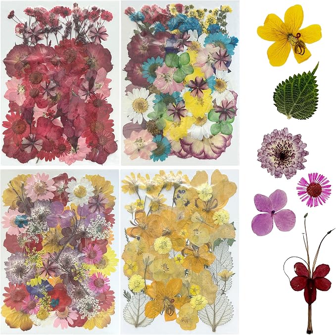 Woohome 200 PCS Natural Dried Pressed Flowers and Natural Dried Pressed Leaves by Woohome