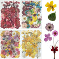 Woohome 200 PCS Natural Dried Pressed Flowers and Natural Dried Pressed Leaves by Woohome