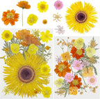Woohome 44 PCS Orange Real Pressed Flowers, Dried Pressed Flowers by Woohome