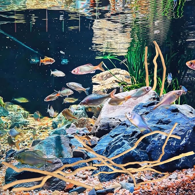 Hamiledyi Natural Driftwood for Aquarium Decor - Image 5