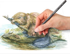 Staedtler Water-Soluble Tinted Graphite Pencils, Watercolor Artist Set - Image 5
