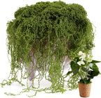USMOLA Fake Moss for Potted Plants Indoor, 7OZ Green Moss for Crafts by USMOLA