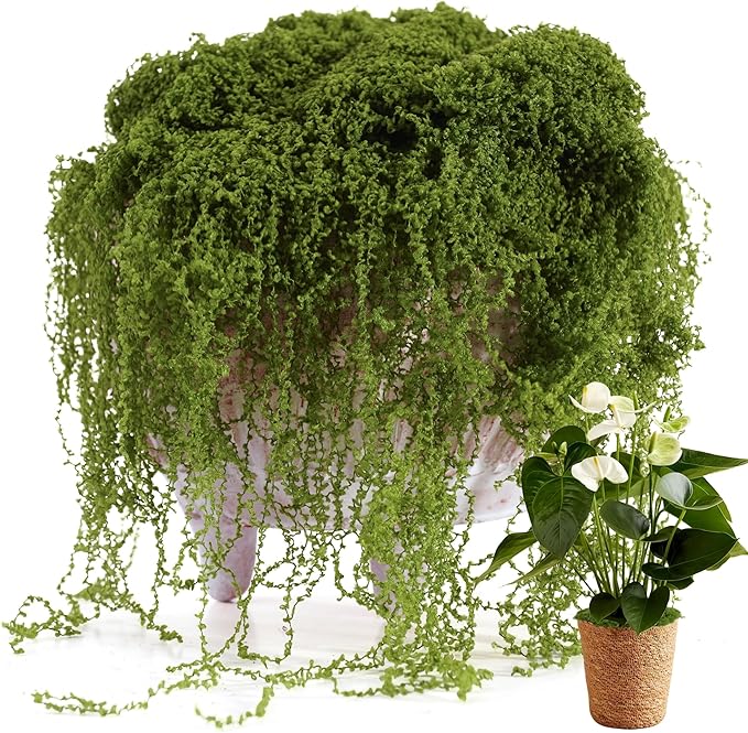 USMOLA Fake Moss for Potted Plants Indoor, 7OZ Green Moss for Crafts by USMOLA