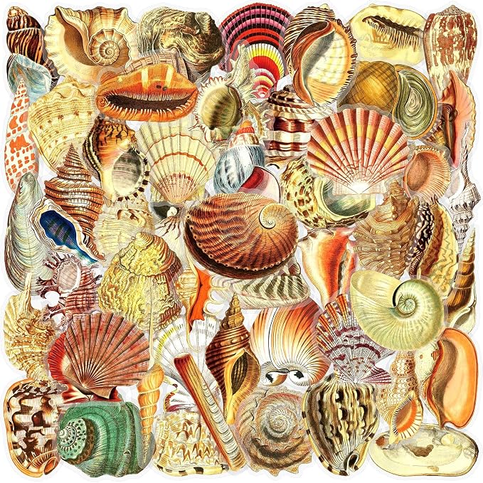50PCS Aesthetic Sea Shell Stickers, PET Conch & Clamshell Decals, Waterproof by Unknown
