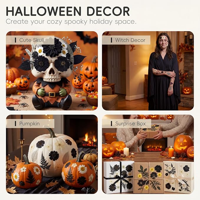 LUXEEASE 90P Halloween Black & White Dried Pressed Flowers | Gothic elegant - Image 4