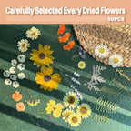 A4 Large Dried Pressed Flowers for Resin - Image 5