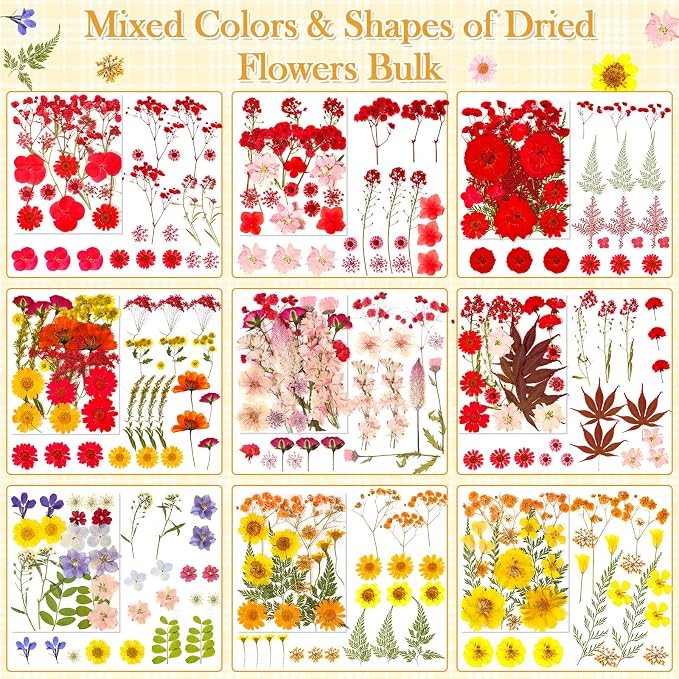 470 PCS Pressed Flowers for Crafts, Real Natural Dry Flowers - Image 3