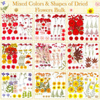 470 PCS Pressed Flowers for Crafts, Real Natural Dry Flowers - Image 3