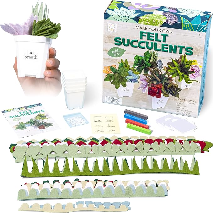Hapinest DIY Potted Felt Succulents Craft Kit - Image 4