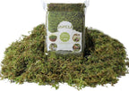 USMOLA Fake Green Moss for Potted Plants, 4OZ Artificial Moss for DIY Crafts - Image 2