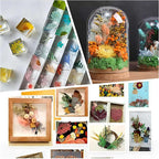 Dried Flower 2 Box DIY Natural Dried Flowers - Image 2