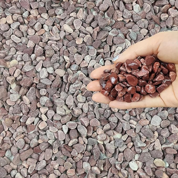 FANTIAN 2 lbs Succulent and Cactus Pebbles Gravel, 3/8 Inch Decorative Red by FANTIAN-GardeningMakesLifeBetter