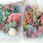 Dried Flower 2 Box DIY Natural Dried Flowers - Image 6