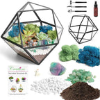 Creations by Nathalie DIY Geometric Glass Terrarium Kit - Image 2