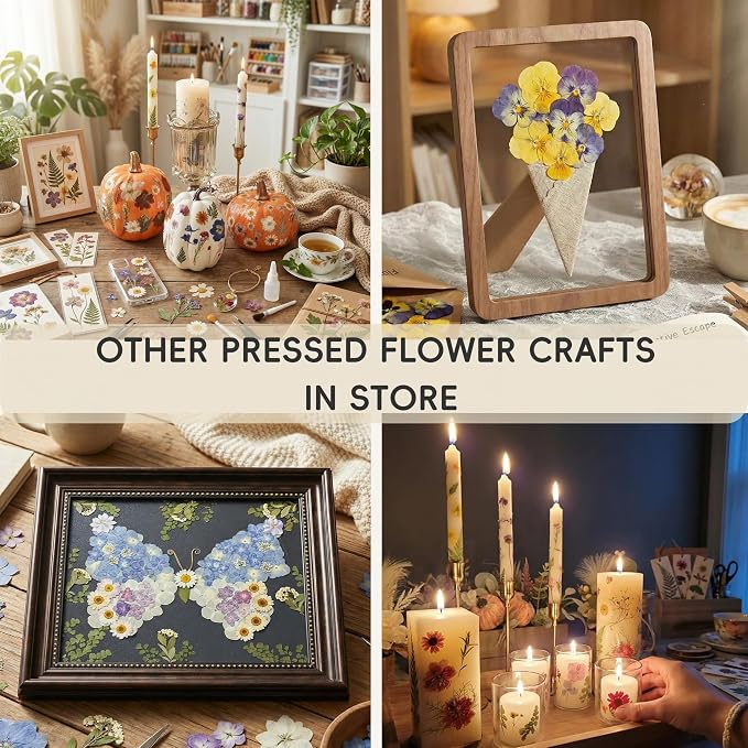 LUXEEASE 90P Halloween Black & White Dried Pressed Flowers | Gothic elegant - Image 9