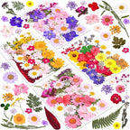 140 Pcs Dried Pressed Flowers for Resin, Real Pressed Flowers Dry Leaves Bulk by Cruzix