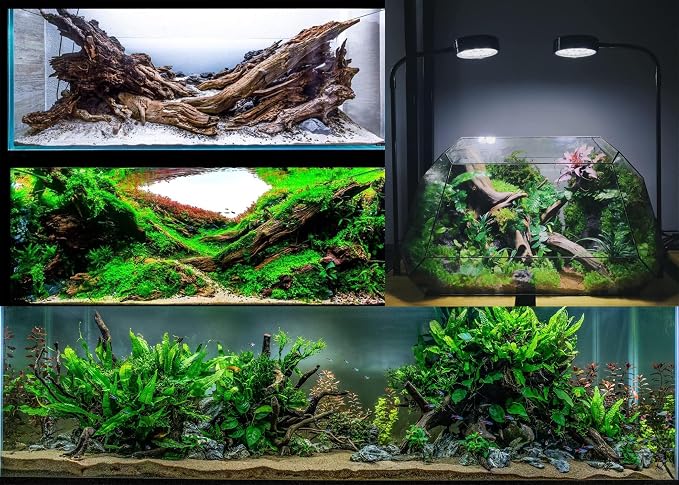Azil Natural Driftwood 9''-12'' – Perfect Aquarium Decoration - Image 8