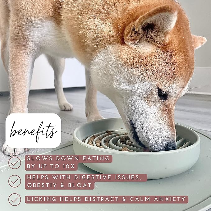 Should We Go? Slow Feeder for Dogs & Puppies, The Slowdown Bowl Silicone Slow Eating, Modern Lick Mat Design, Reduces Gulping, Fits 2 Cups, 7.5” Across x 1.5” Tall, Mealtime Challenge, Medium-Charcoal