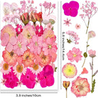 15 Types 37pcs Pink Dried Pressed Flowers - Image 2