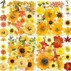 150PCS Yellow Dried Pressed Flowers by YouthBro