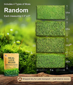 LuckyRunes Live Moss 4-Pack for Terrariums, Potted Plants & Floral Decor | - Image 2