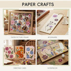 LUXEEASE 100P Pink Purple Blue Dried Pressed Flowers | Soft romantic shades - Image 5